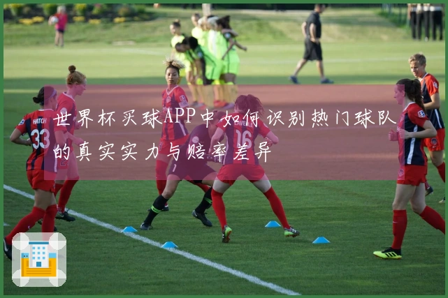 世界杯买球APP中如何识别热门球队的真实实力与赔率差异