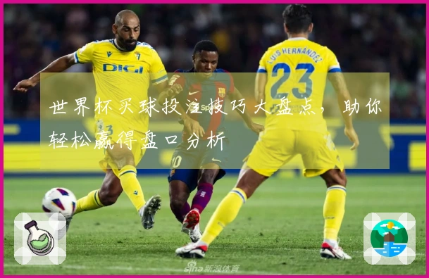 世界杯买球投注技巧大盘点，助你轻松赢得盘口分析