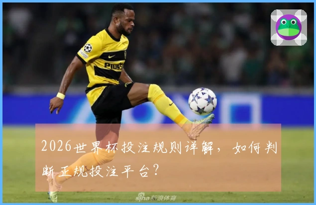2026世界杯投注规则详解，如何判断正规投注平台？